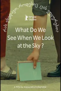Что мы видим, когда смотрим на небо? (фильм 2021)