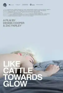 Навстречу сиянию (фильм 2015)