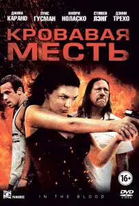 Кровавая месть (фильм 2013)